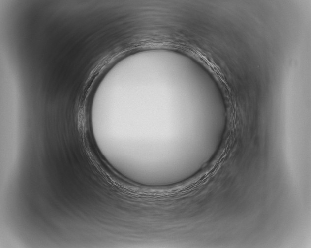 X0000113240002200909100932