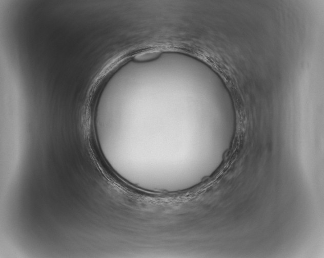 X0000113240005200909100932