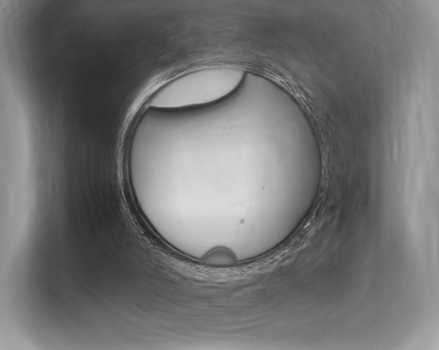 X0000113240006200909100932