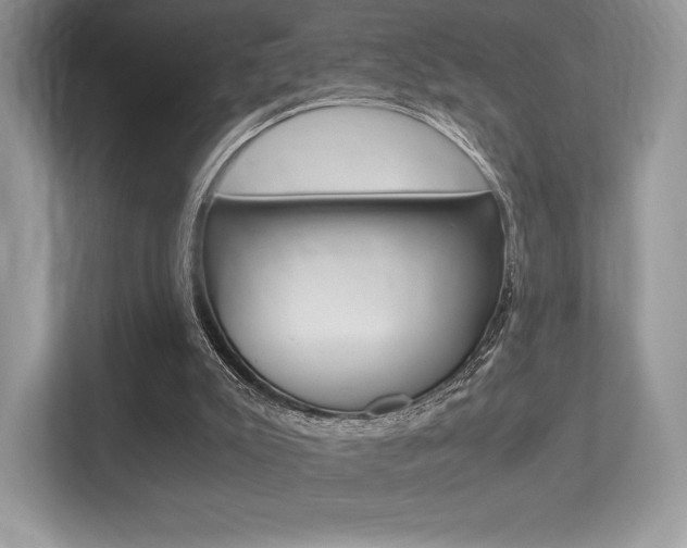 X0000113240007200909100932