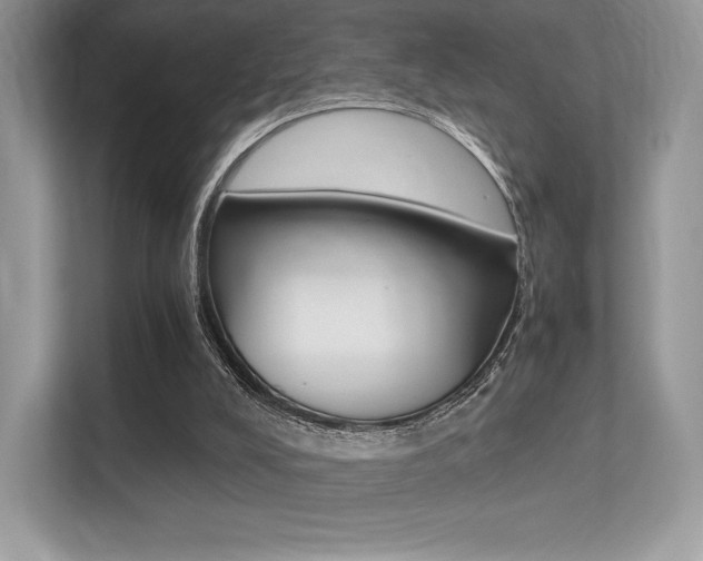 X0000113240008200909100932