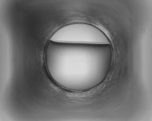 X0000113240009200909100932