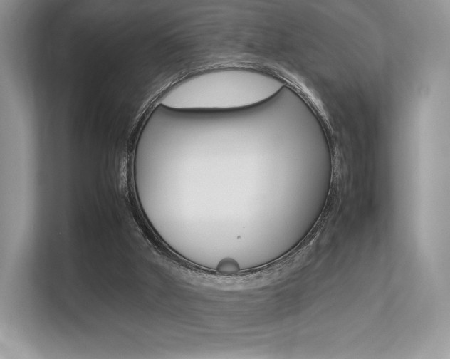 X0000113240010200909100932