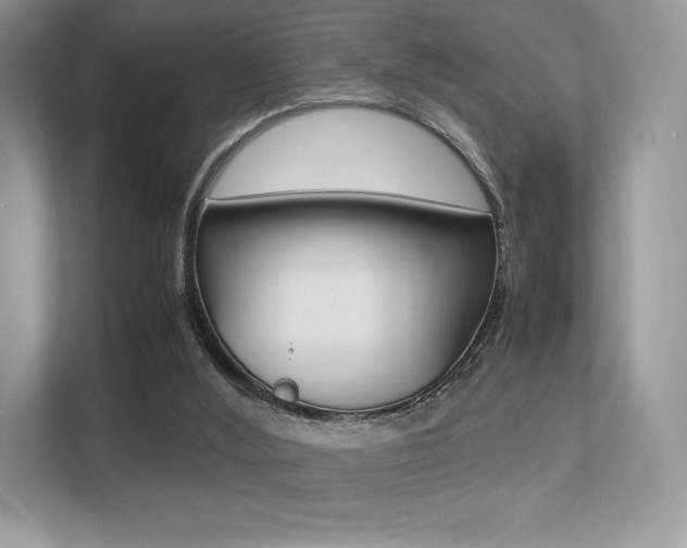 X0000113240012200909100932