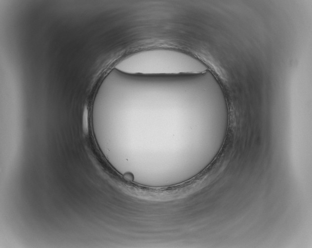 X0000113240014200909100932