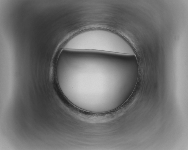 X0000113240016200909100932