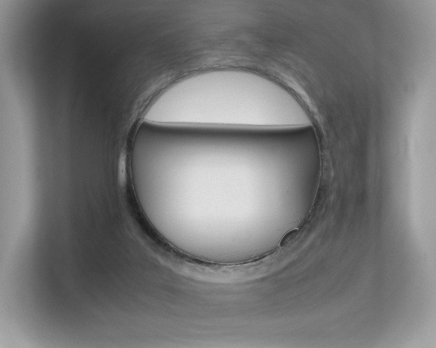 X0000113240019200909100932