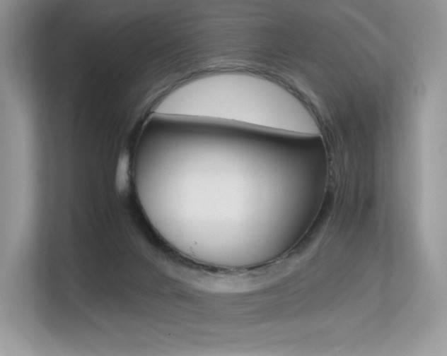 X0000113240024200909100932