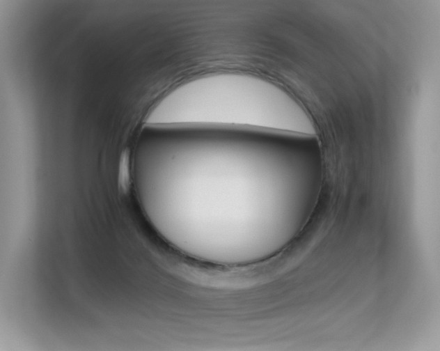 X0000113240028200909100932