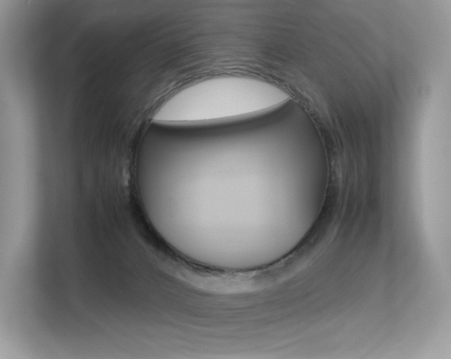 X0000113240032200909100932