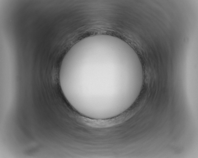 X0000113240034200909100931