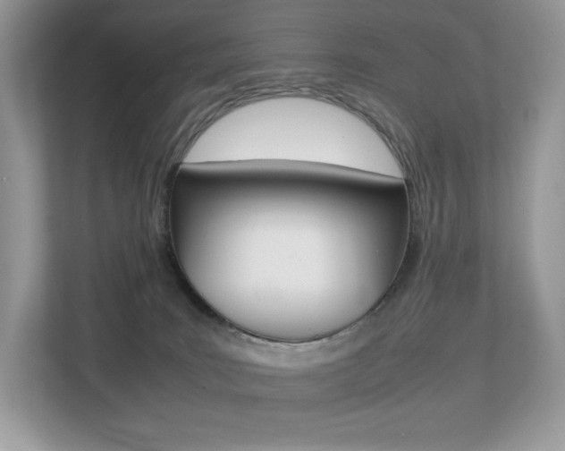 X0000113240035200909100931