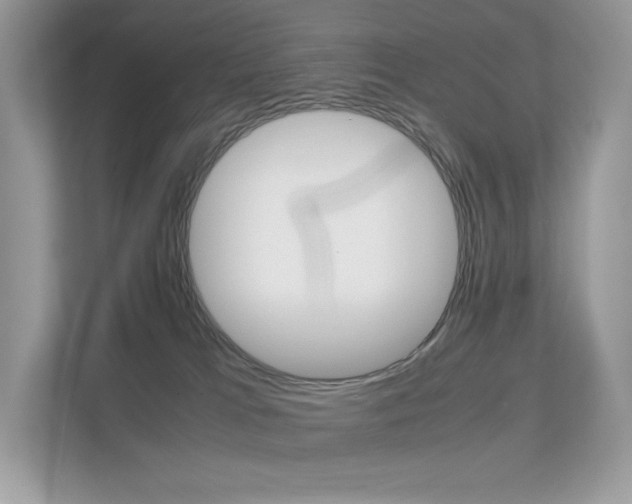 X0000113240037200909100931