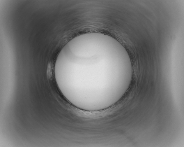 X0000113240038200909100931