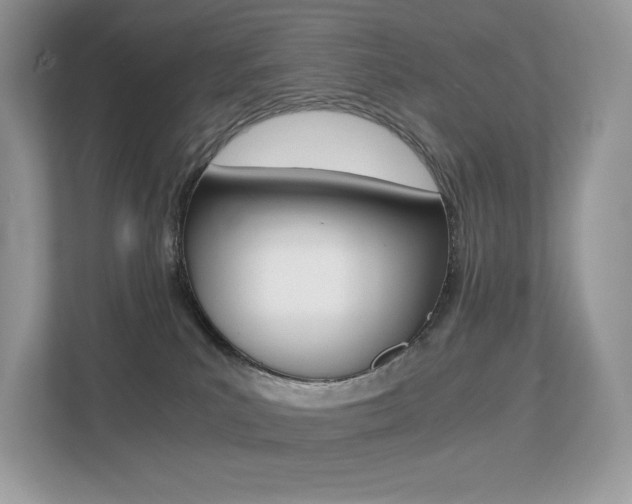 X0000113240039200909100931