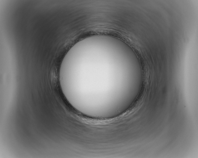 X0000113240040200909100931