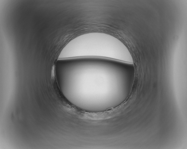 X0000113240041200909100931