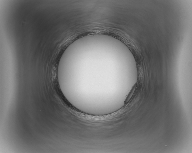 X0000113240043200909100931