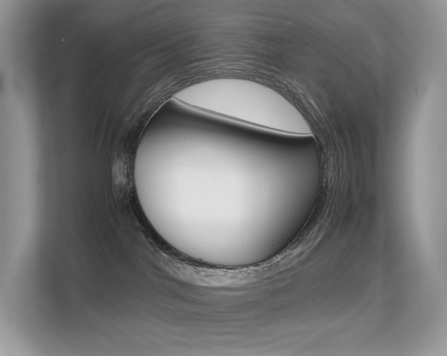 X0000113240044200909100931