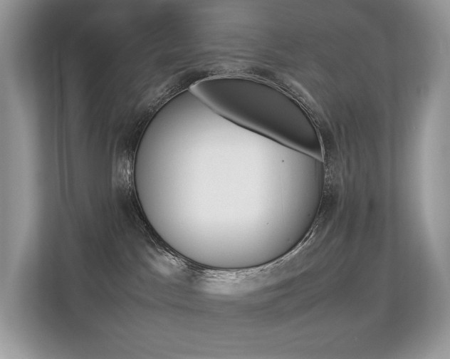 X0000113240045200909100931