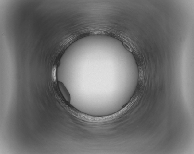 X0000113240047200909100931