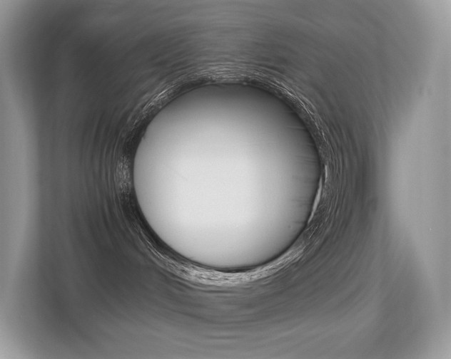 X0000113240048200909100931