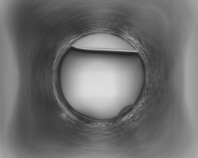 X0000113240049200909100931