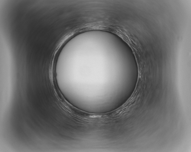 X0000113240052200909100931