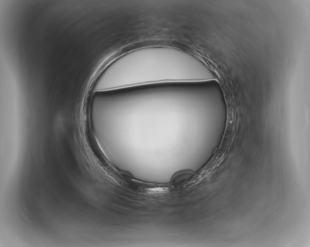 X0000113240053200909100931