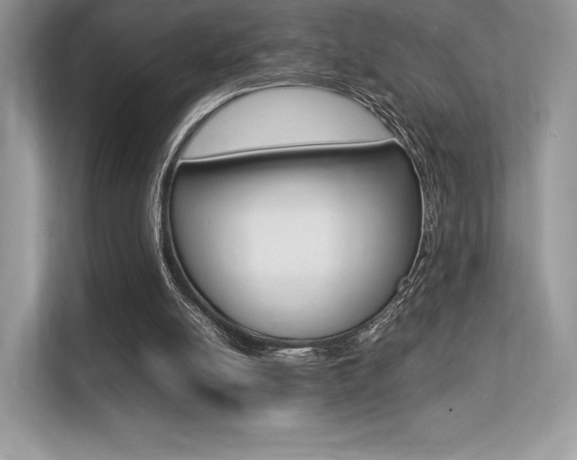 X0000113240054200909100931