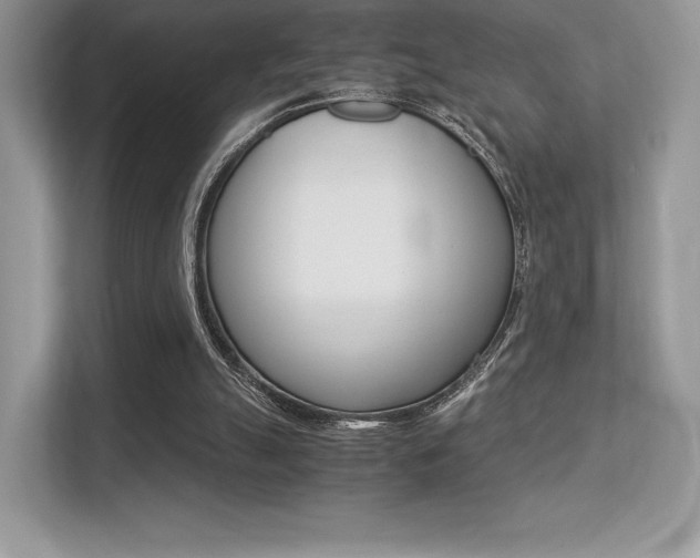 X0000113240055200909100931