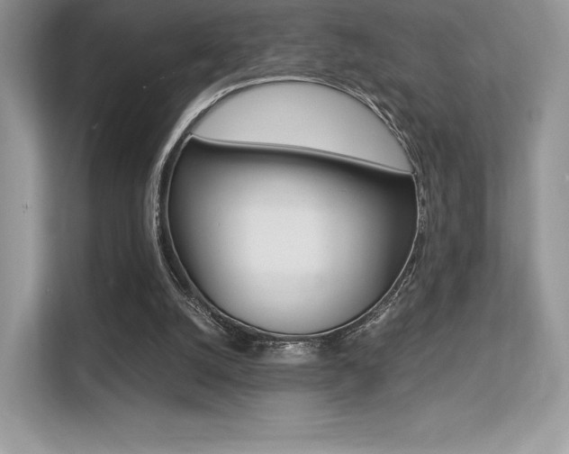 X0000113240056200909100931