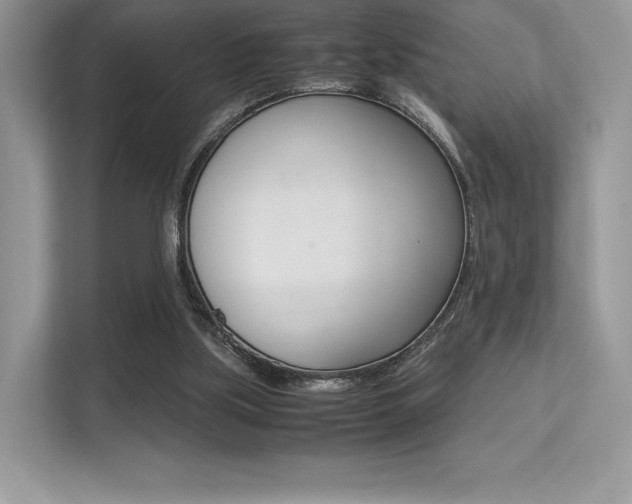 X0000113240059200909100931