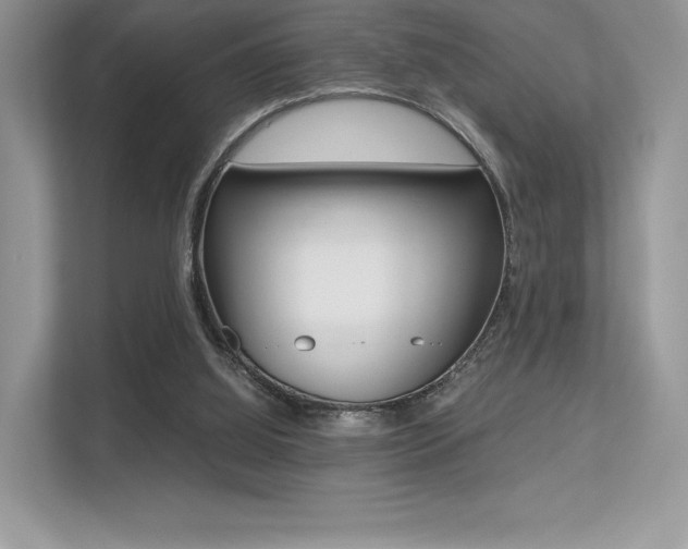 X0000113240060200909100931