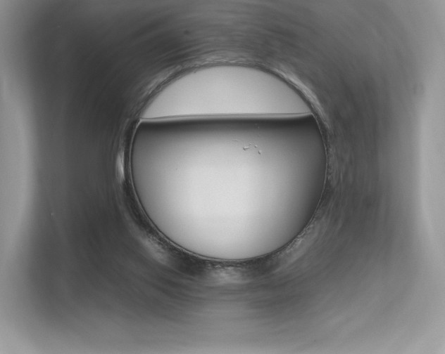 X0000113240062200909100931