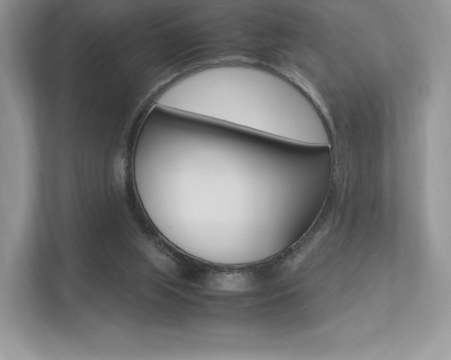 X0000113240063200909100931