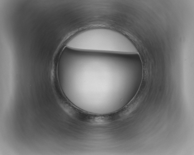 X0000113240064200909100931