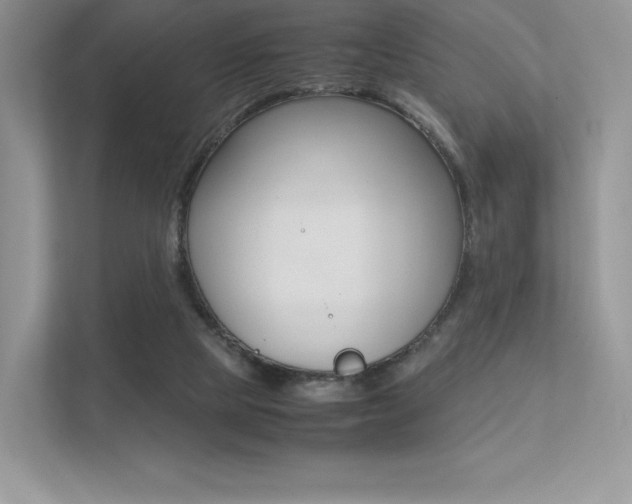 X0000113240065200909100931