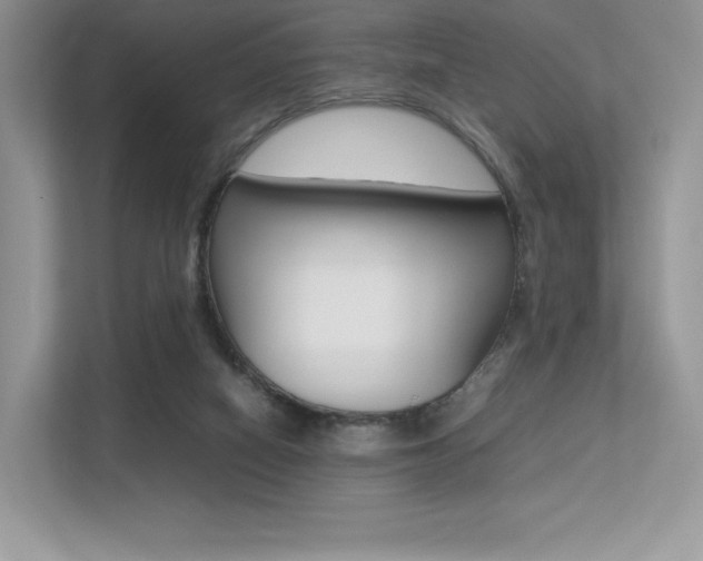 X0000113240066200909100931