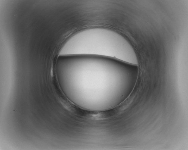 X0000113240068200909100931