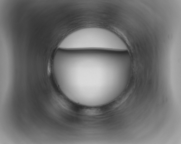 X0000113240069200909100931