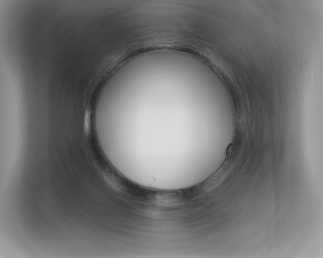 X0000113240070200909100931