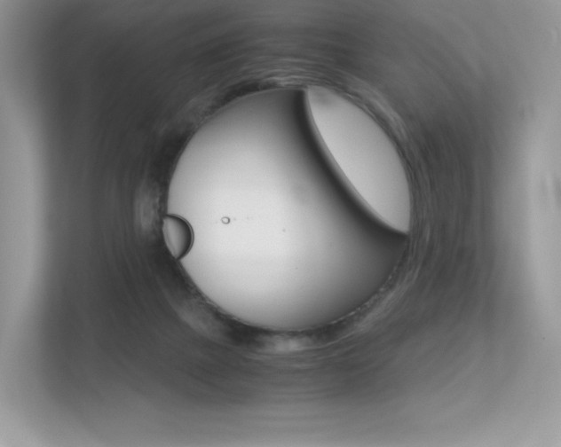 X0000113240073200909100931