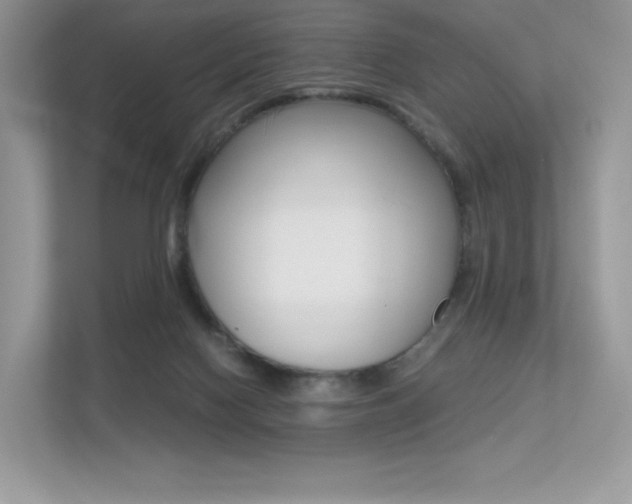 X0000113240074200909100931