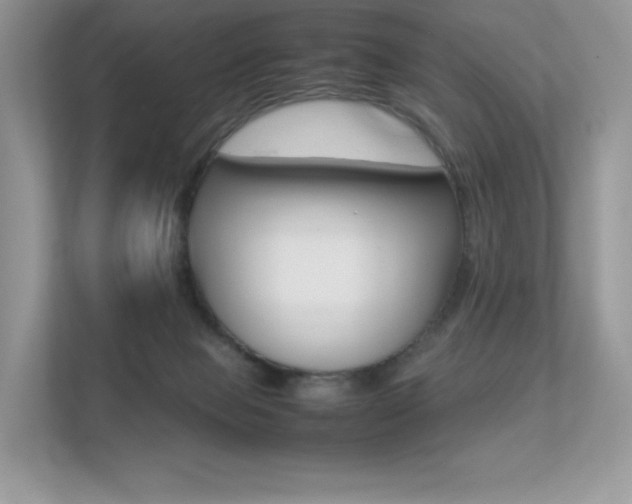 X0000113240077200909100931