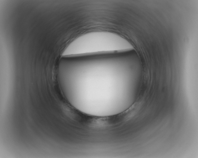 X0000113240078200909100931