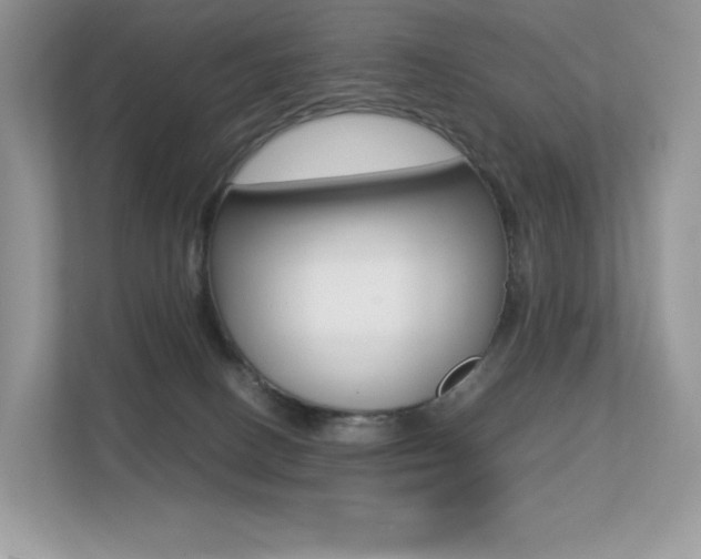 X0000113240082200909100931