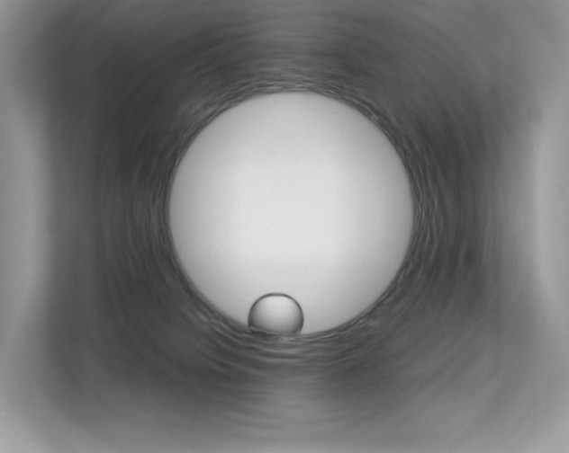 X0000113240084200909100931