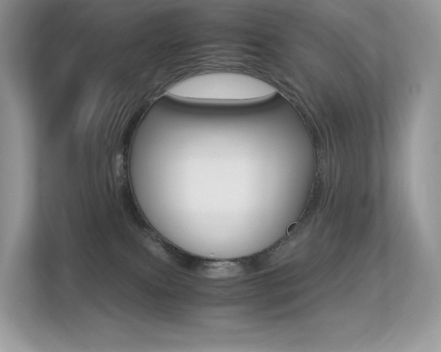 X0000113240087200909100931