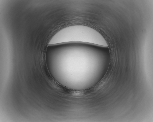 X0000113240088200909100931